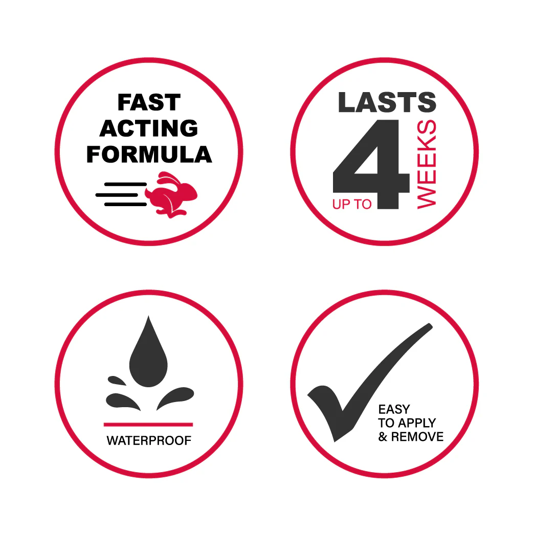 JUST FOR BROWS | EYEBROW COLORING - Image 4